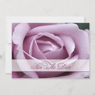 Lavendel-Rose Save the Date
