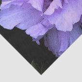 Lavendel-Rose von Sharon Seidenpapier (Ausschnitt)