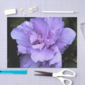 Lavendel-Rose von Sharon Seidenpapier (Handwerk)