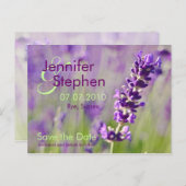 Lavendel ・ Save the Date Postkarte (Vorne/Hinten)