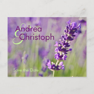 Lavendel • Save-the-Date-Postkarte Ankündigungspostkarte