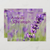 Lavendel • Save-the-Date-Postkarte Ankündigungspostkarte (Vorne/Hinten)