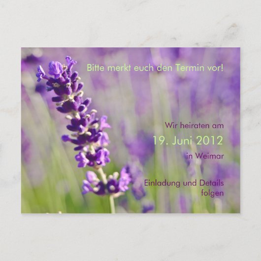 Lavendel • Save-the-Date-Postkarte Ankündigungspostkarte (Rückseite)