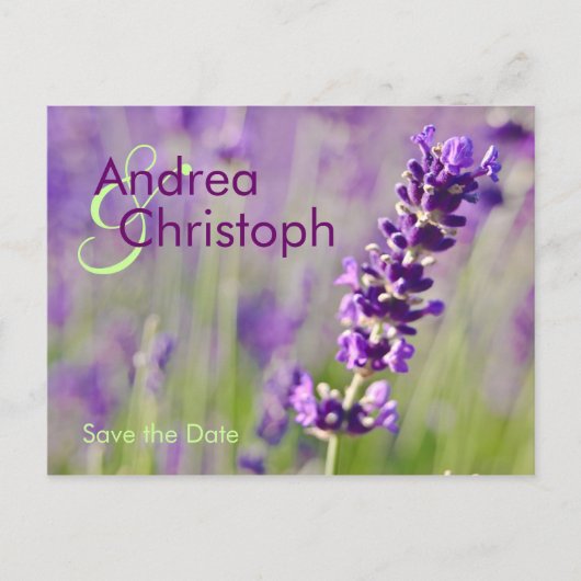Lavendel • Save-the-Date-Postkarte Ankündigungspostkarte (Vorderseite)