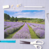Lavendel Seidenpapier (Handwerk)