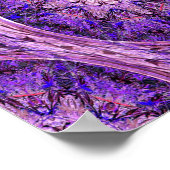 Lavendel Stars...... Poster (Ecke)