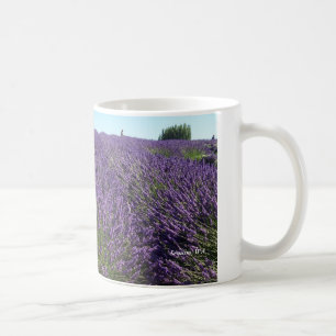 Lavendel stellt Sequim, WA Tasse auf