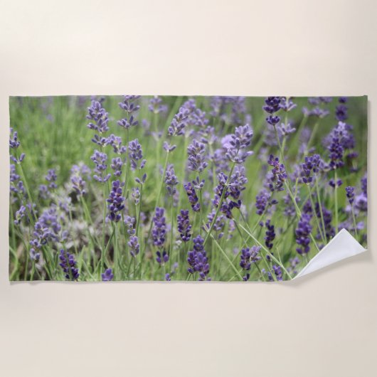Lavendel-Strandtuch Strandtuch (Vorderseite)