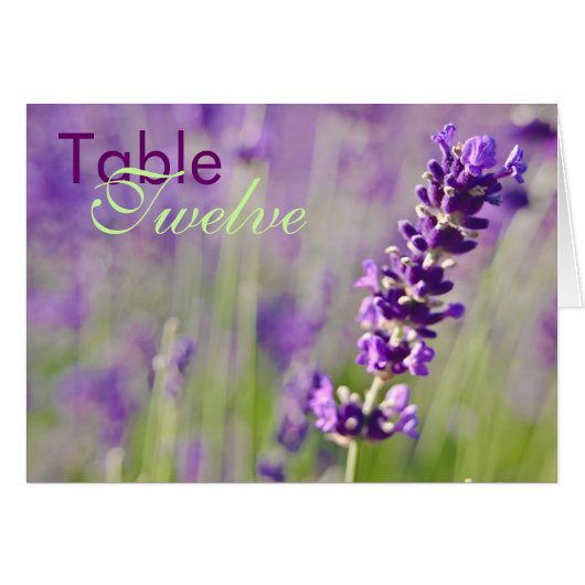 Lavendel • Tabellen-Karte (Vorderseite (Horizontal))