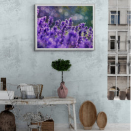 Lavendel-Träume Fotodruck