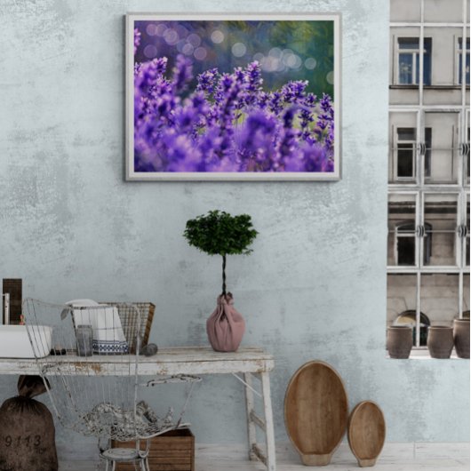 Lavendel-Träume Fotodruck