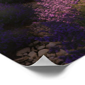 Lavendel-Träume von Provence Poster (Ecke)