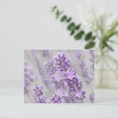 Lavendel träumt. postkarte (Stehend Vorderseite)