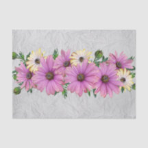 Lavendel u. gelbe Gänseblümchen