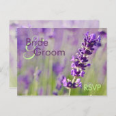 Lavendel ・ UAWG Postkarte (Vorne/Hinten)