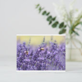 Lavendel und Bienen Postkarte (Stehend Vorderseite)