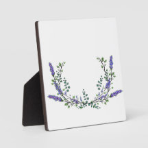 Lavendel und Eukalyptus lila floral botanisch