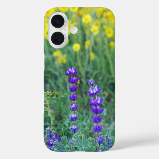 Lavendel und Gelbblüte Case-Mate iPhone Hülle (Rückseite)