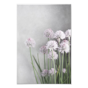 Lavendel und grüne Chives auf weichem Grau Fotodruck