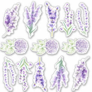 Lavendel- und Hydrangea-Set Aufkleber