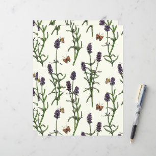 Lavendel und Schmetterlinge auf weiß