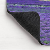 Lavendel, Vence, Provence, Frankreich Mousepad (Ecke)