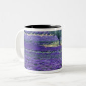 Lavendel, Vence, Provence, Frankreich Zweifarbige Tasse (Vorderseite Links)