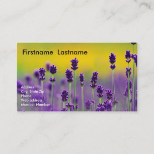 Lavendel-Visitenkarte Visitenkarte