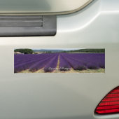 Lavendel von Provence Autoaufkleber (Auf Auto)