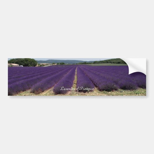 Lavendel von Provence Autoaufkleber (Vorne)