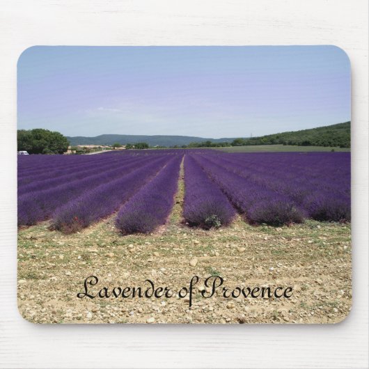 Lavendel von Provence Mousepad (Vorne)