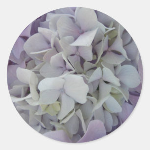 Lavendel/weißer Hydrangea-Aufkleber Runder Aufkleber