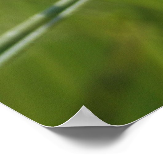 Lavendel wild Blume Poster (Ecke)