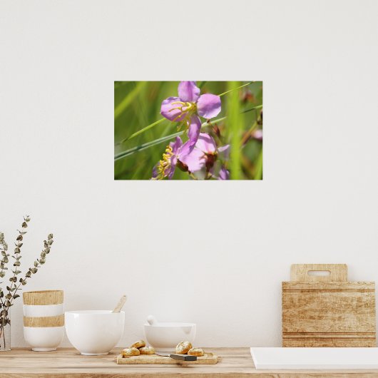 Lavendel wild Blume Poster (Küche)