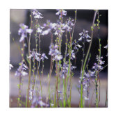 Lavendel-Wildblumen Fliese (Vorderseite)