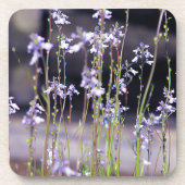 Lavendel-Wildblumen Getränkeuntersetzer (Vorderseite)