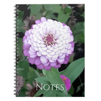 Lavendel-Zinnien-Notizbuch Notizblock