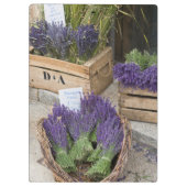Lavendel zum verkauf, Provence, Frankreich Klemmbrett (Rückseite)