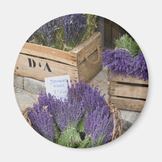 Lavendel zum verkauf, Provence, Frankreich Magnet (Vorne)