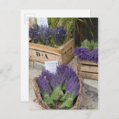 Lavendel zum verkauf, Provence, Frankreich Postkarte (Vorne/Hinten)