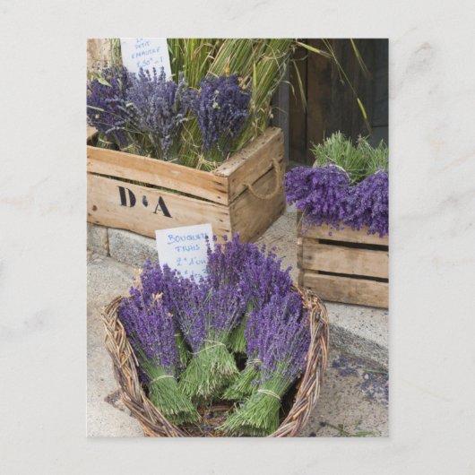 Lavendel zum verkauf, Provence, Frankreich Postkarte (Vorderseite)