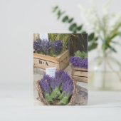 Lavendel zum verkauf, Provence, Frankreich Postkarte (Stehend Vorderseite)