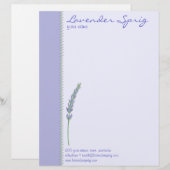 Lavendel-Zweigs Briefkopf (Vorne/Hinten)