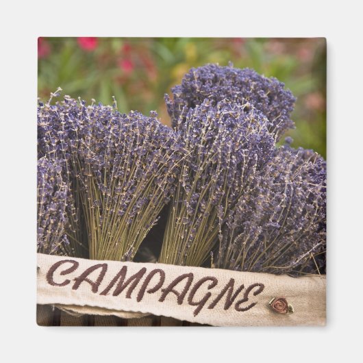 Lavendelbänder, Vence, Provence, Magnet (Vorne)