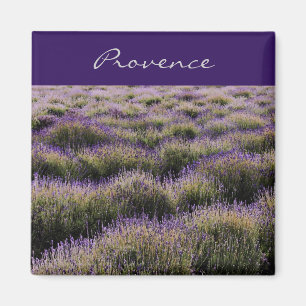 Lavendelbauernhoffeld - Provence Magnet