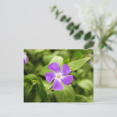 Lavendelblau Postkarte (Stehend Vorderseite)