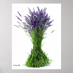 Lavendelblumenstrauß Poster