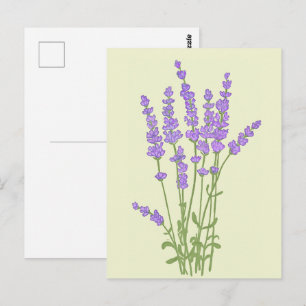 Lavendelblumenstrauß. Postkarte