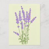 Lavendelblumenstrauß. Postkarte (Vorderseite)