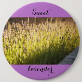 Lavendelblüte Button (Vorderseite)